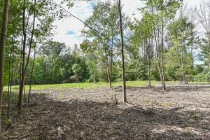 Homes for sale in New Hartford, CT | 555 Town Hill Rd, New Hartford, CT 06057 | MLS# 24110677