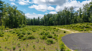 Homes for sale in Granby, CT | 14 Peck Orchard Rd, Granby, CT 06060 | MLS# 24109710