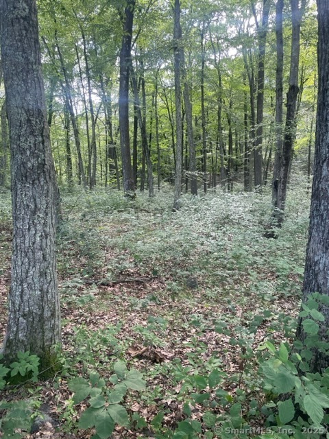 24 Costa, Redding, 06896, ,Lots And Land For Sale,For Sale,Costa,24100667