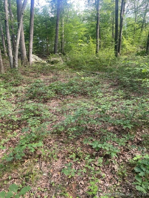 24 Costa, Redding, 06896, ,Lots And Land For Sale,For Sale,Costa,24100667