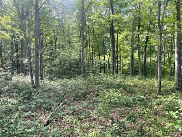 24 Costa, Redding, 06896, ,Lots And Land For Sale,For Sale,Costa,24100667