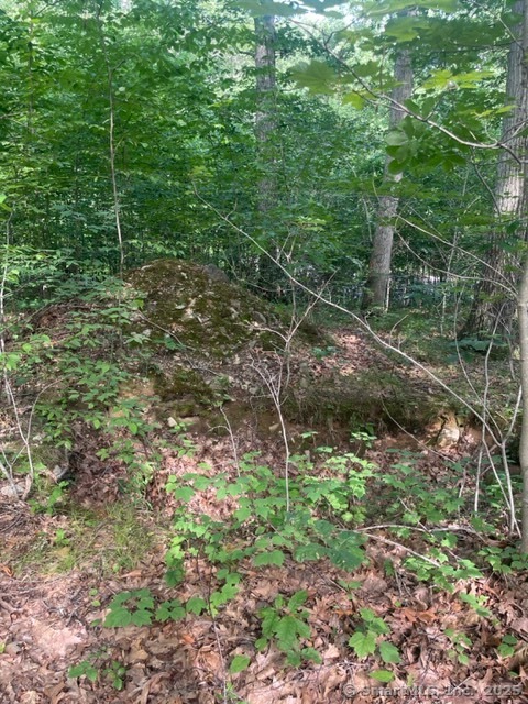 24 Costa, Redding, 06896, ,Lots And Land For Sale,For Sale,Costa,24100667