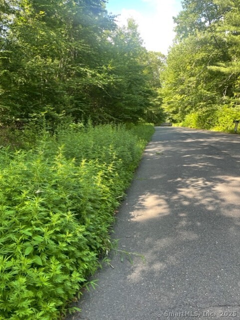 24 Costa, Redding, 06896, ,Lots And Land For Sale,For Sale,Costa,24100667