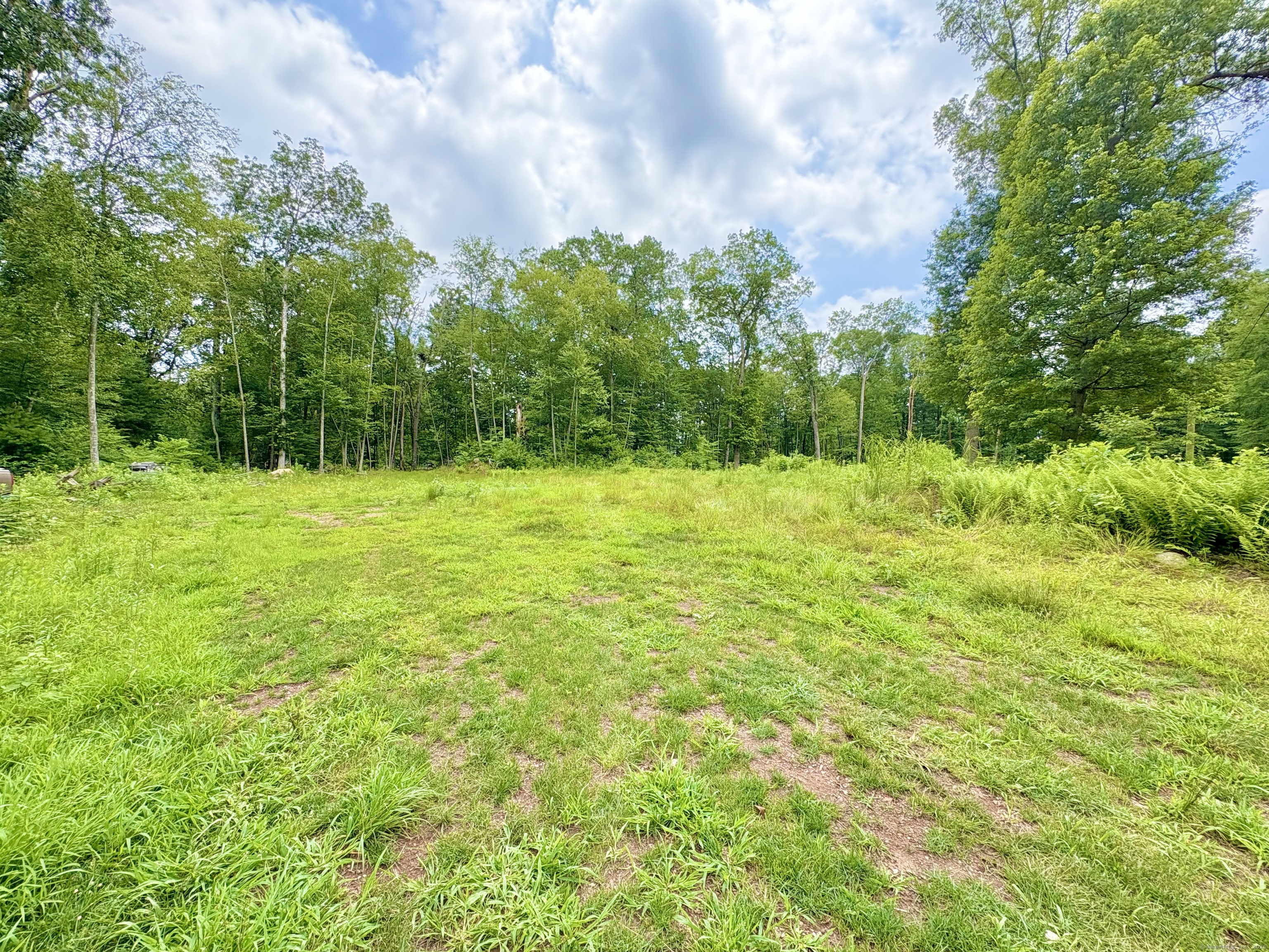 28 Bass, Brooklyn, 06234, ,Lots And Land For Sale,For Sale,Bass,24110492
