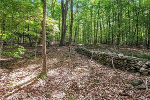 Homes for sale in Roxbury, CT | 200 North St, Roxbury, CT 06783 | MLS# 24111575