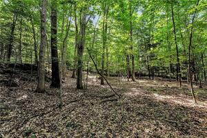 Homes for sale in Roxbury, CT | 200 North St, Roxbury, CT 06783 | MLS# 24111575