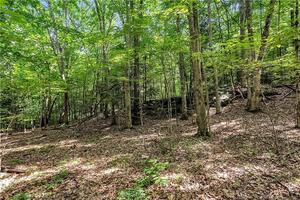 Homes for sale in Roxbury, CT | 200 North St, Roxbury, CT 06783 | MLS# 24111575