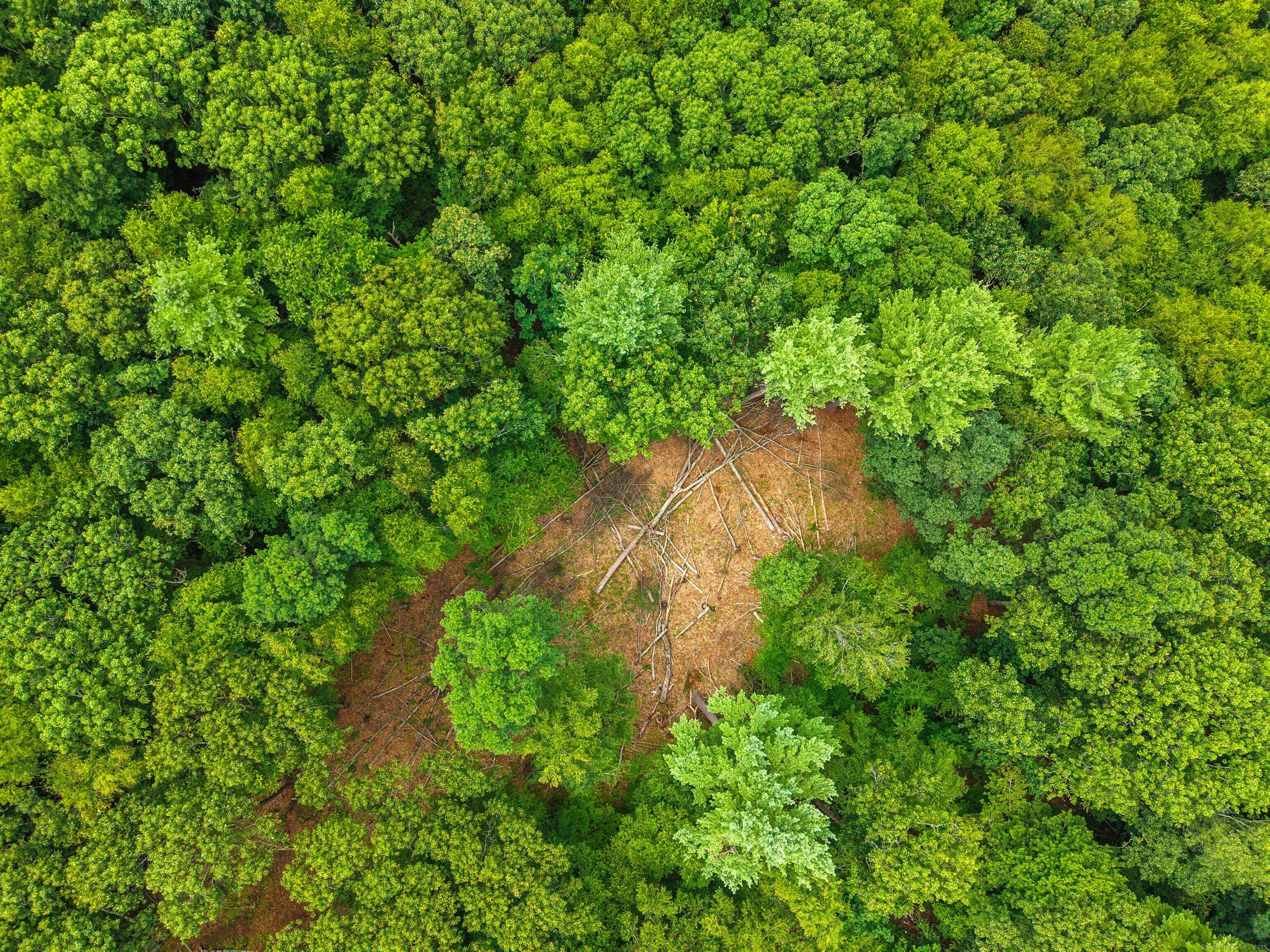 Homes for sale in Colchester, CT | 138 Brainard Rd, Colchester, CT 06415 | MLS# 24111017