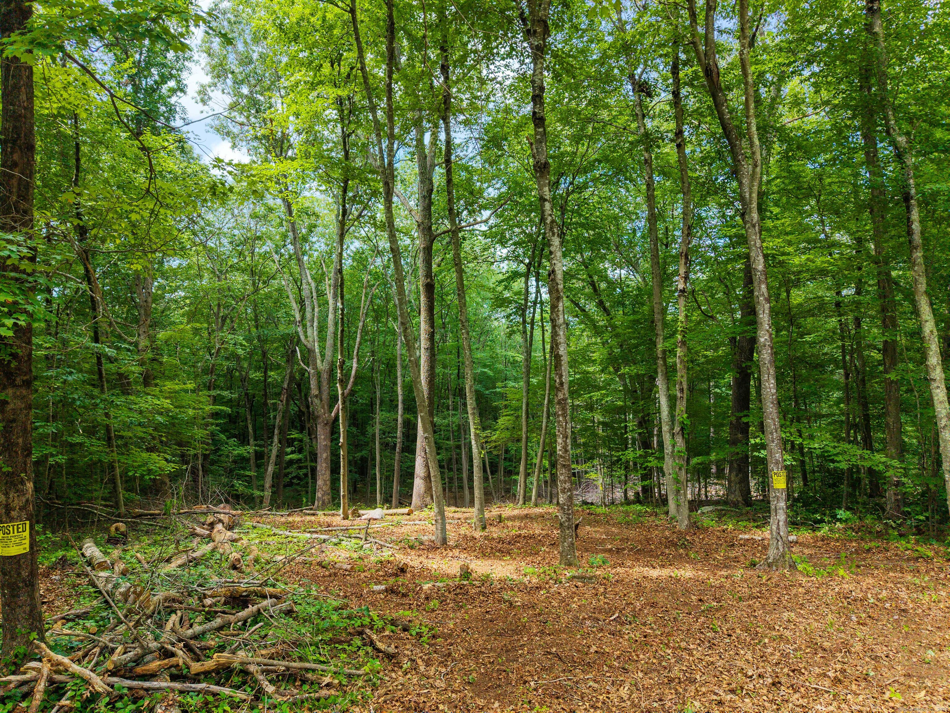 Homes for sale in Colchester, CT | 138 Brainard Rd, Colchester, CT 06415 | MLS# 24111017