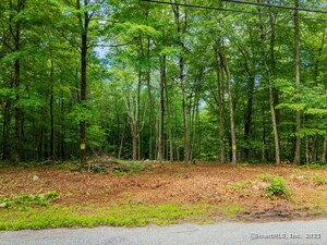 Homes for sale in Colchester, CT | 138 Brainard Rd, Colchester, CT 06415 | MLS# 24111017