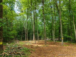 Homes for sale in Colchester, CT | 138 Brainard Rd, Colchester, CT 06415 | MLS# 24111017