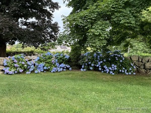 Homes for sale in Stonington, CT | 1335 Pequot Trl, Stonington, CT 06378 | MLS# 24111826