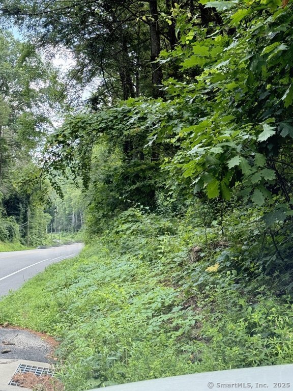 471 US-7, Sharon, 06069, ,Lots And Land For Sale,For Sale,US-7,24109541