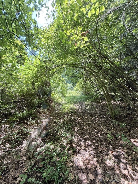 471 US-7, Sharon, 06069, ,Lots And Land For Sale,For Sale,US-7,24109541