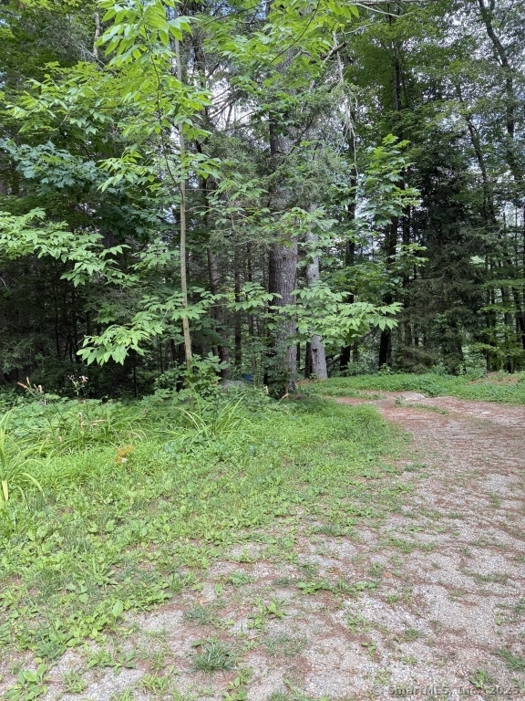 471 US-7, Sharon, 06069, ,Lots And Land For Sale,For Sale,US-7,24109541
