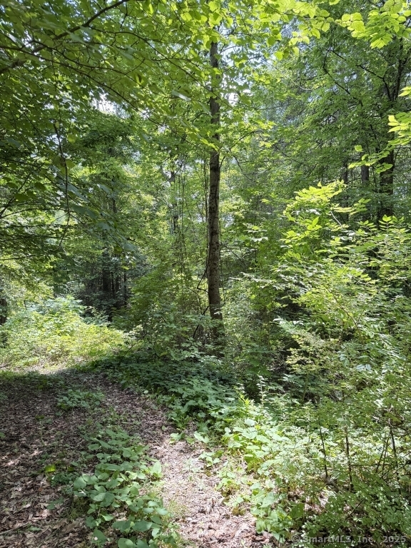 471 US-7, Sharon, 06069, ,Lots And Land For Sale,For Sale,US-7,24109541