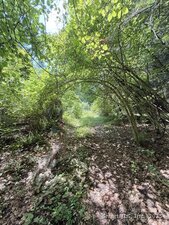 Homes for sale in Sharon, CT | 471 Us-7 Rte, Sharon, CT 06069 | MLS# 24109541