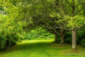 Homes for sale in Sharon, CT | 164 East St, Sharon, CT 06069 | MLS# 24112969