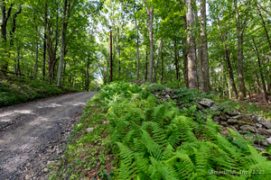 Homes for sale in Roxbury, CT | 31 Holmes Rd, Roxbury, CT 06783 | MLS# 24113717