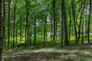 Homes for sale in Roxbury, CT | 31 Holmes Rd, Roxbury, CT 06783 | MLS# 24113717