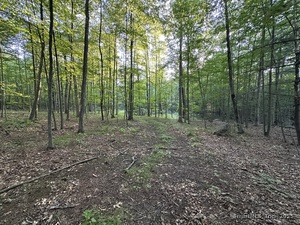 Homes for sale in Stafford, CT | 19 Potter Rd, Stafford, CT 06076 | MLS# 24113988