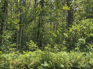 Homes for sale in Bloomfield, CT | 1220 Blue Hills Ave, Bloomfield, CT 06002 | MLS# 24114729