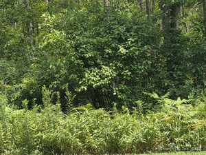 Homes for sale in Bloomfield, CT | 1220 Blue Hills Ave, Bloomfield, CT 06002 | MLS# 24114729