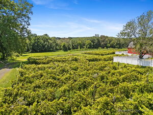 Homes for sale in Lebanon, CT | 139 W Town St, Lebanon, CT 06249 | MLS# 24115733