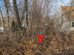 Homes for sale in Bristol, CT | 38 Porter Ct, Bristol, CT 06010 | MLS# 24116044