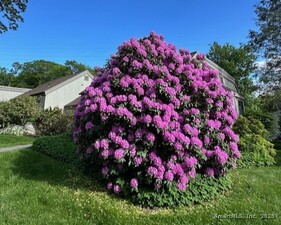 Homes for sale in Southbury, CT | 859 Heritage Vlg #B, Southbury, CT 06488 | MLS# 24116487