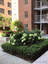 Homes for sale in Stamford, CT | 700 Summer St #APT 4L, Stamford, CT 06901 | MLS# 24114352