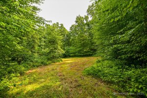 Homes for sale in Woodstock, CT | Aplin Hill Ln, Woodstock, CT 06281 | MLS# 24116887