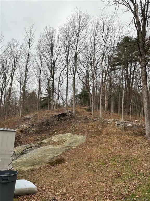91 Reynolds Bridge Road photo 26