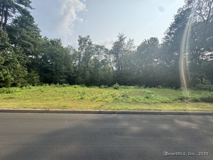 Homes for sale in Somers, CT | 35 Therese Dr, Somers, CT 06071 | MLS# 24117198