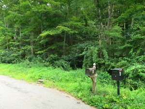 Homes for sale in East Haddam, CT | 10 Cherry Swamp Rd, East Haddam, CT 06469 | MLS# 24116970