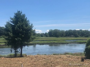 Homes for sale in Branford, CT | 25 S Montowese St, Branford, CT 06405 | MLS# 24117556