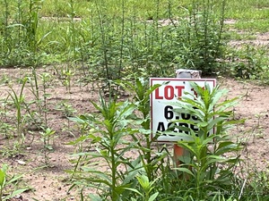 Homes for sale in Southington, CT | 566 Marion Ave, Southington, CT 06479 | MLS# 24117655