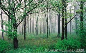 Homes for sale in Enfield, CT | (Undisclosed), Enfield, CT 06082 | MLS# 24118045