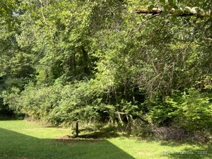 Homes for sale in Seymour, CT | 31 Skokorat St, Seymour, CT 06483 | MLS# 24119368