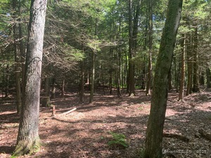 Homes for sale in Roxbury, CT | Lot 1 Chalybes Rd W, Roxbury, CT 06783 | MLS# 24114731