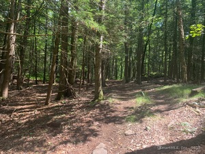 Homes for sale in Roxbury, CT | Lot 1 Chalybes Rd W, Roxbury, CT 06783 | MLS# 24114731