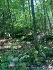 Homes for sale in Roxbury, CT | Lot 1 Chalybes Rd W, Roxbury, CT 06783 | MLS# 24114731