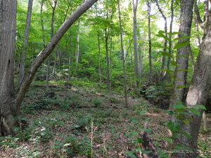 Homes for sale in Salisbury, CT | 153 White Hollow Rd, Salisbury, CT 06039 | MLS# 24120616