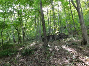 Homes for sale in Salisbury, CT | 153 White Hollow Rd, Salisbury, CT 06039 | MLS# 24120616