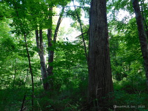 Homes for sale in Salisbury, CT | 153 White Hollow Rd, Salisbury, CT 06039 | MLS# 24120616