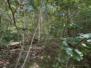 Homes for sale in Willington, CT | River Rd, Willington, CT 06279 | MLS# 24120753