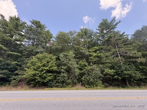 Homes for sale in Willington, CT | River Rd, Willington, CT 06279 | MLS# 24120753
