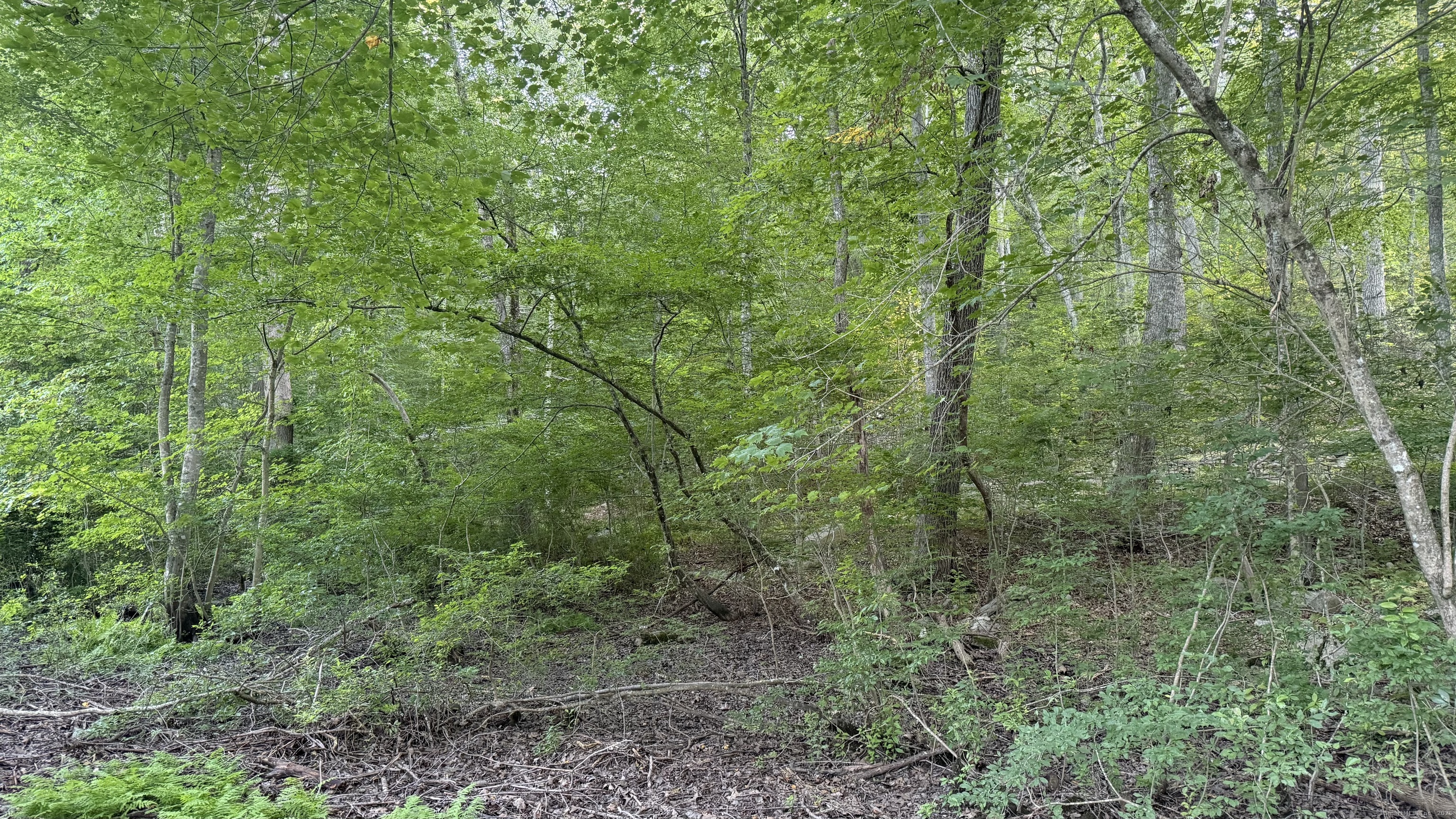 Homes for sale in Ledyard, CT | 74 Homestead Rd, Ledyard, CT 06339 | MLS# 24121451