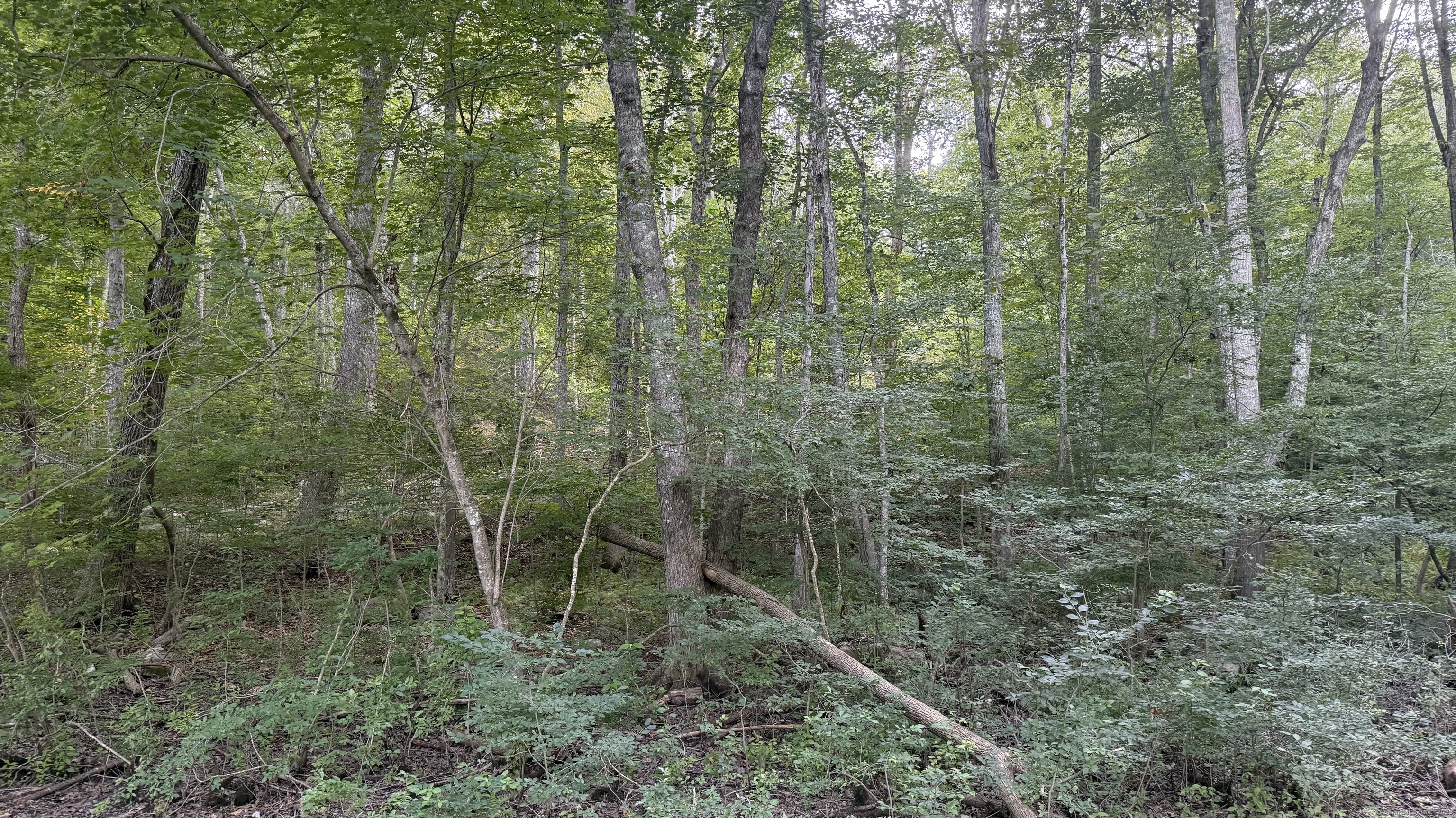 Homes for sale in Ledyard, CT | 74 Homestead Rd, Ledyard, CT 06339 | MLS# 24121451