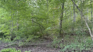 Homes for sale in Ledyard, CT | 74 Homestead Rd, Ledyard, CT 06339 | MLS# 24121451